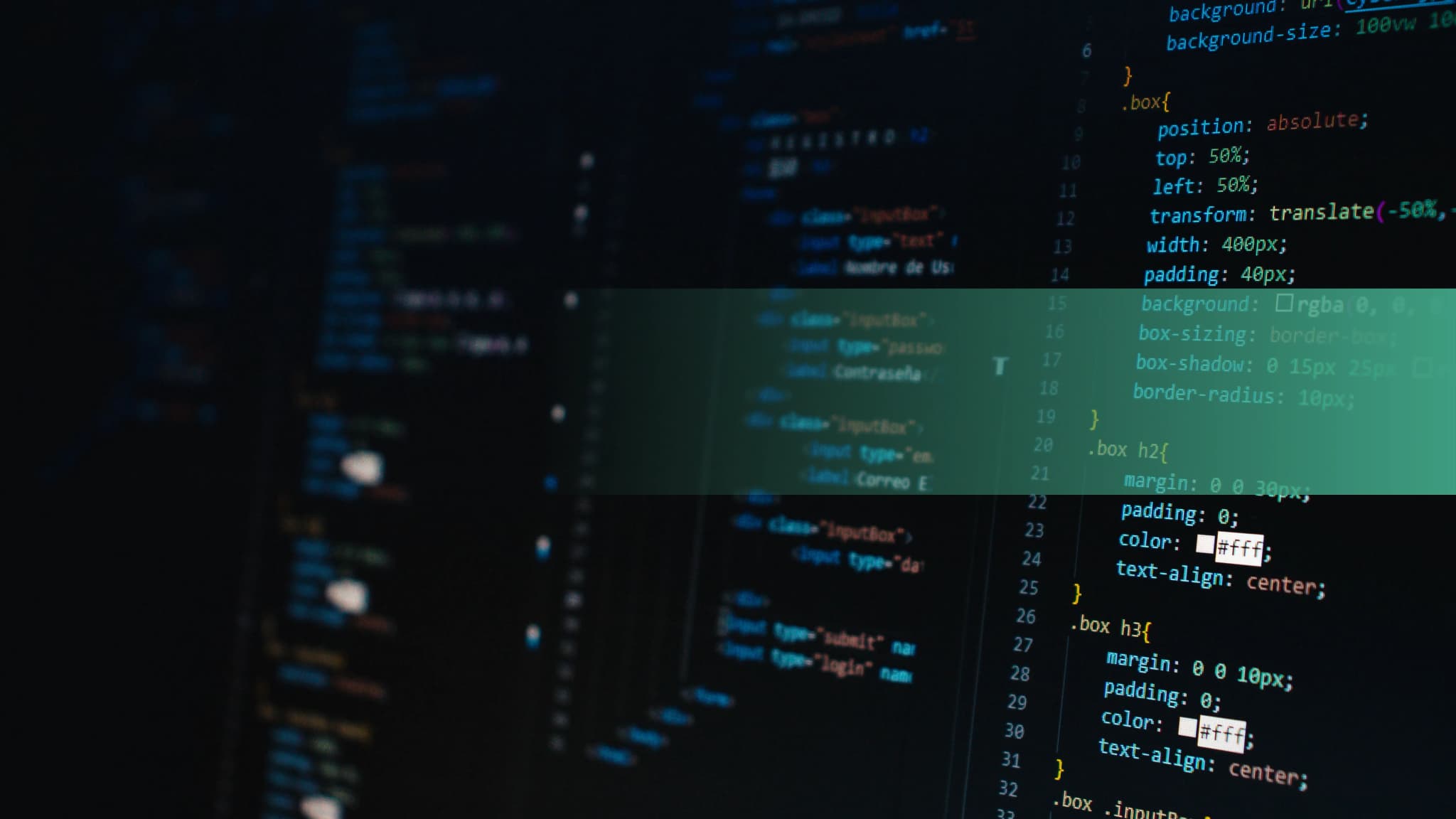 Web Development